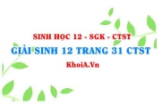 Giải Sinh 12 trang 31 Chân trời Sáng tạo